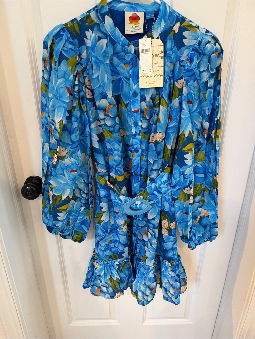 FARM Rio for Anthropologie Blue Floral Belted Button-Front mini Swing Dress